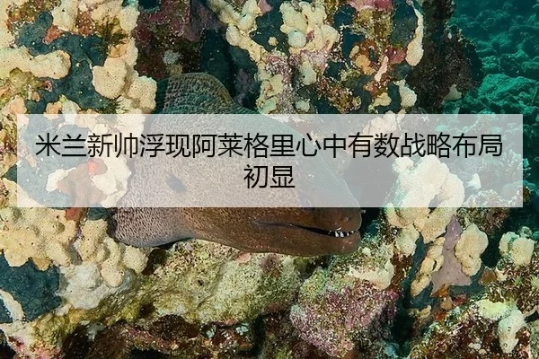 mi-lan-xin-shuai-fu-xian-a-lai-ge-li-xin-zhong-you-shu-zhan-lve-bu-ju-chu-xian-2-714.jpg