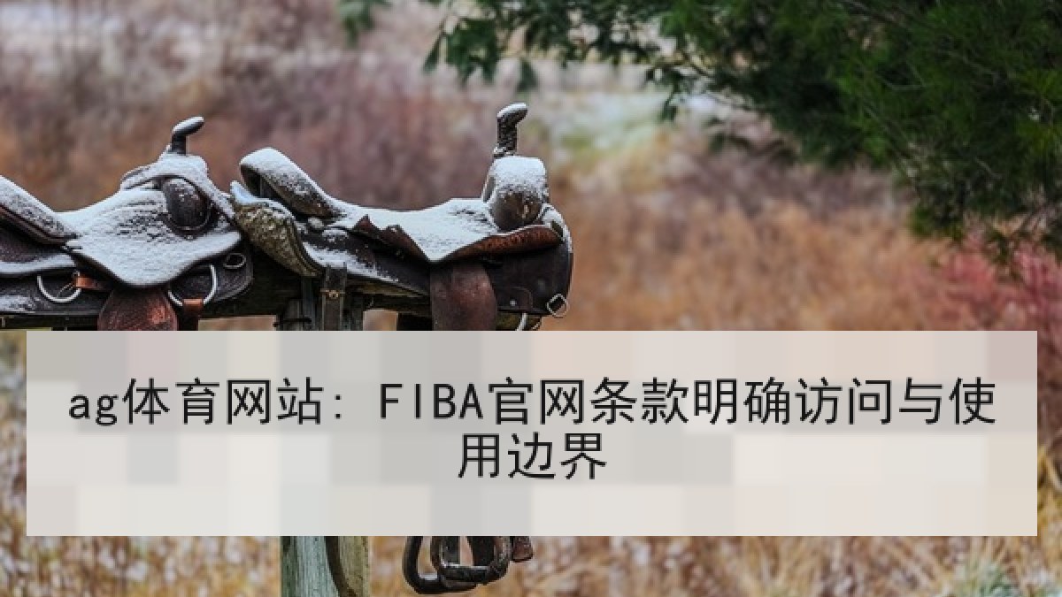 ag体育网站: FIBA官网条款明确访问与使用边界