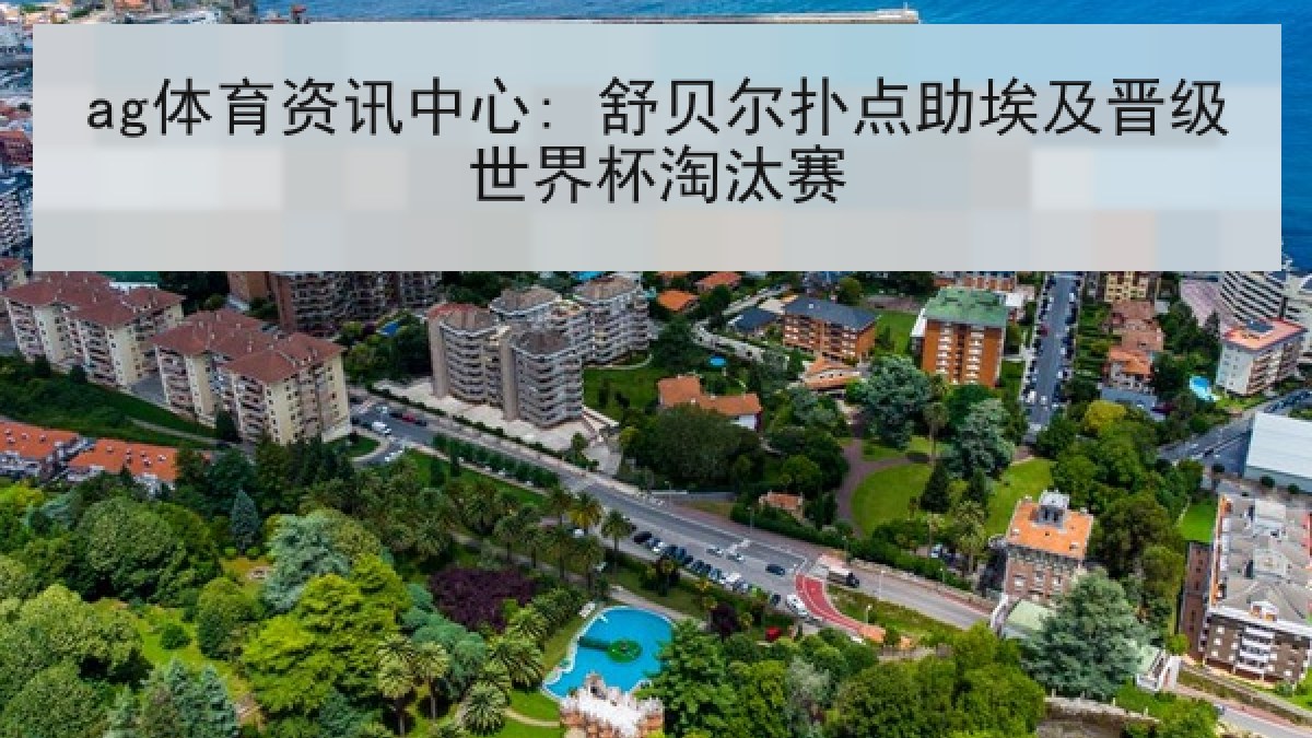 ag体育资讯中心: 舒贝尔扑点助埃及晋级世界杯淘汰赛