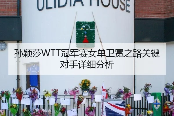 孙颖莎WTT冠军赛女单卫冕之路关键对手详细分析