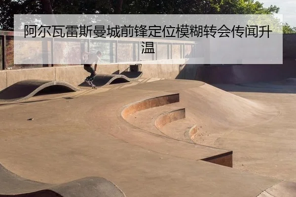 a-er-wa-lei-si-man-cheng-qian-feng-ding-wei-mo-hu-zhuan-hui-chuan-wen-sheng-wen-2-788.jpg