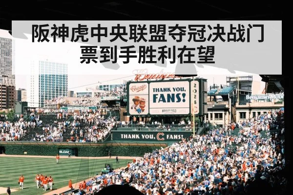 baseball fans celebrating