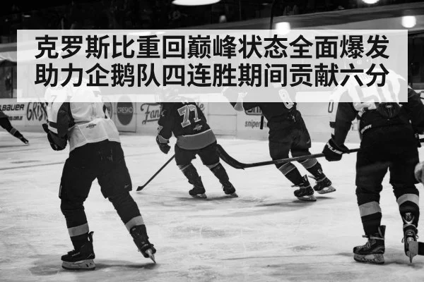 克罗斯比重回巅峰状态全面爆发助力企鹅队四连胜期间贡献六分