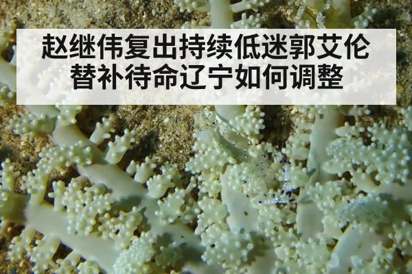赵继伟复出持续低迷郭艾伦替补待命辽宁如何调整